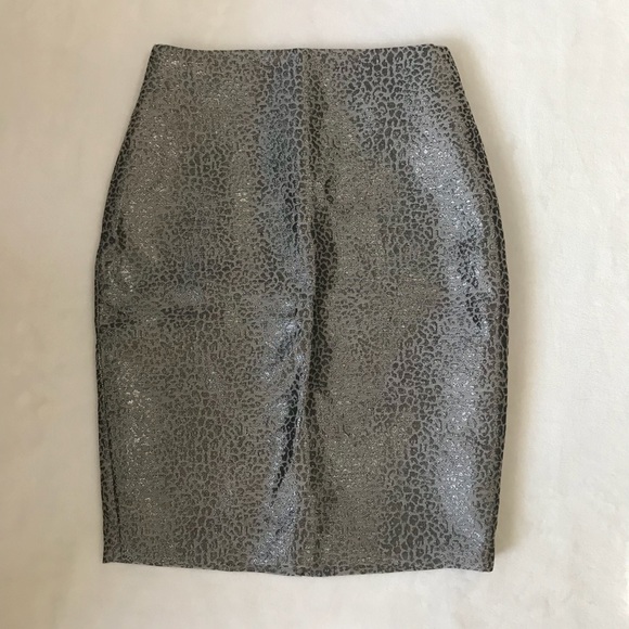 Ann Taylor Dresses & Skirts - NWOT🌟 Ann Taylor Silver Knee Length Pencil Skirt